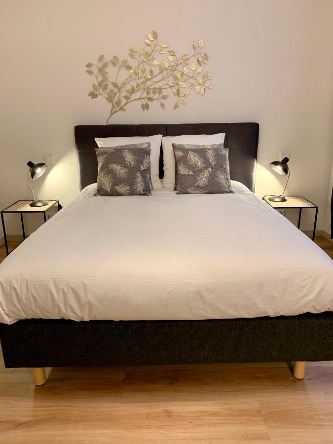 Appartements Des 2 Tetes Colmar Exteriér fotografie